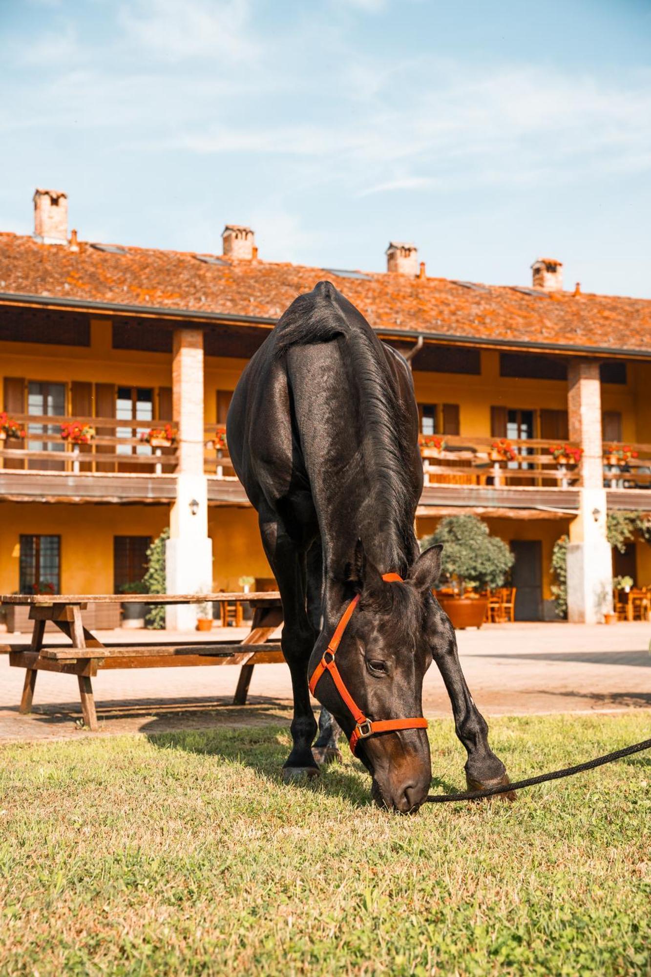 Agriturismo Bassanella Treviglio Luaran gambar